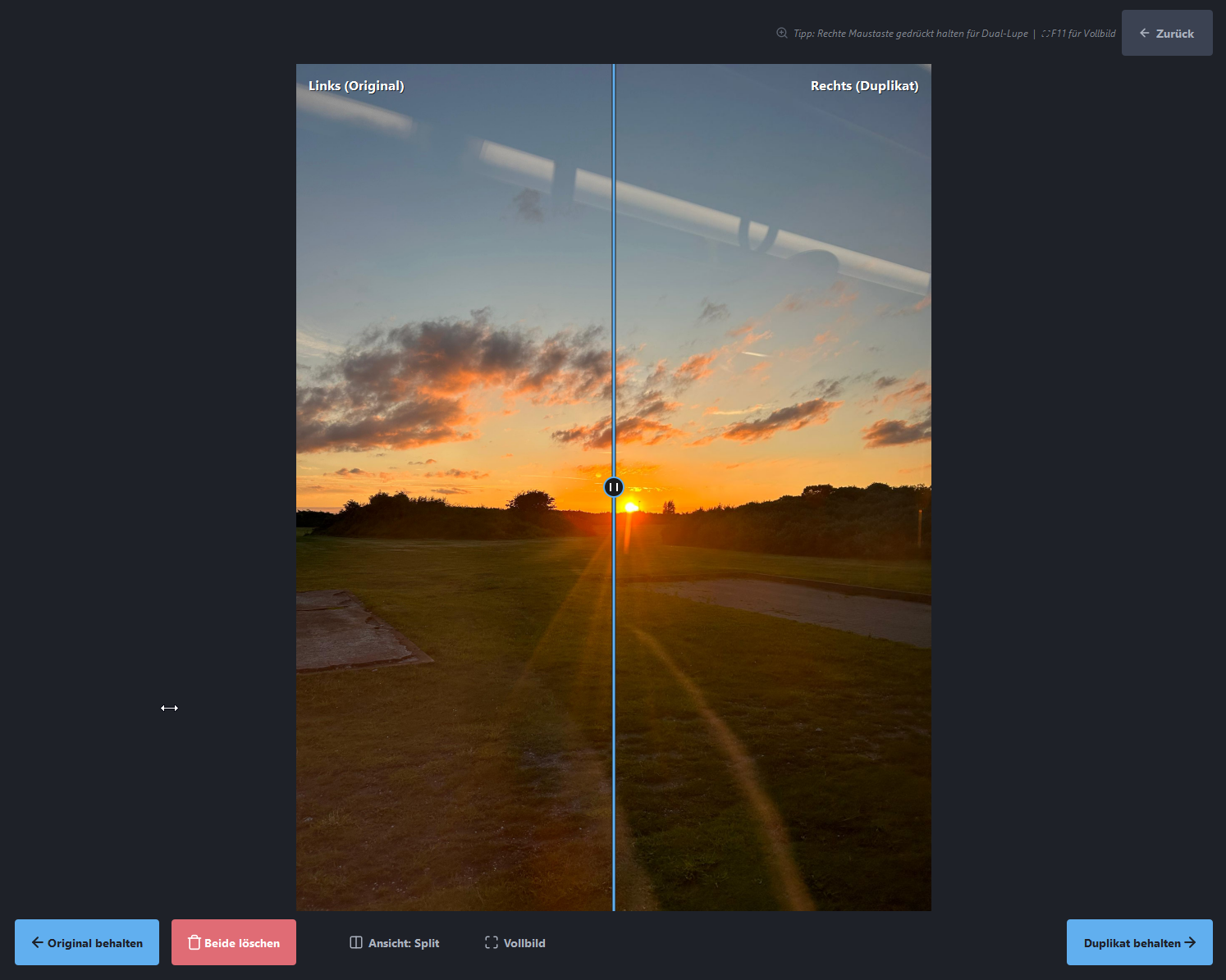 Duplikat-Review in der Grid-Ansicht